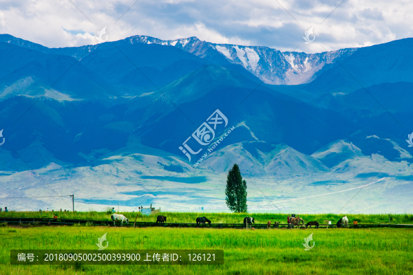 高家湖風(fēng)光