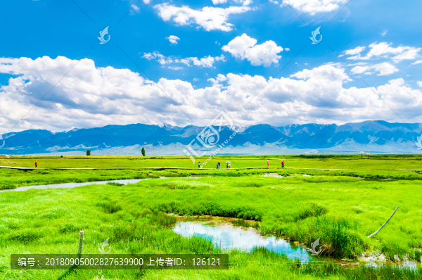 高家湖風(fēng)光
