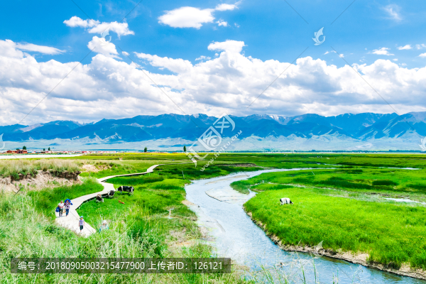 高家湖風(fēng)光