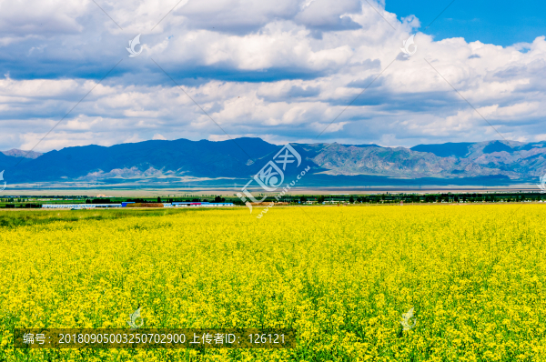 高家湖風(fēng)光