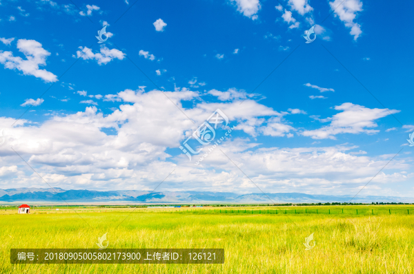 高家湖風(fēng)光