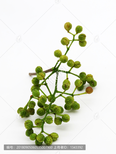 青花椒
