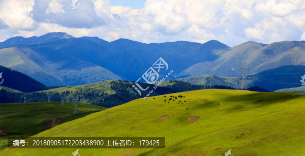 四川甘孜色達金馬草原風光