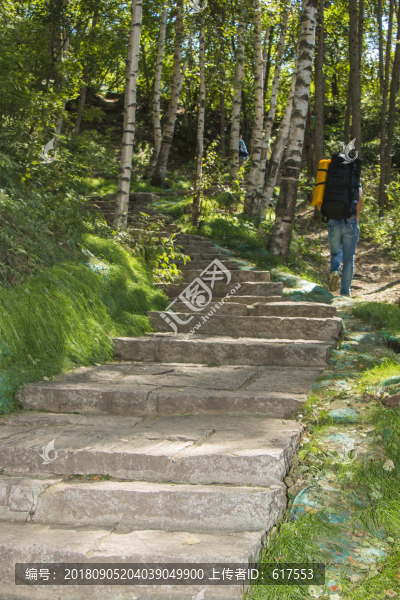 樹蔭下的臺(tái)階
