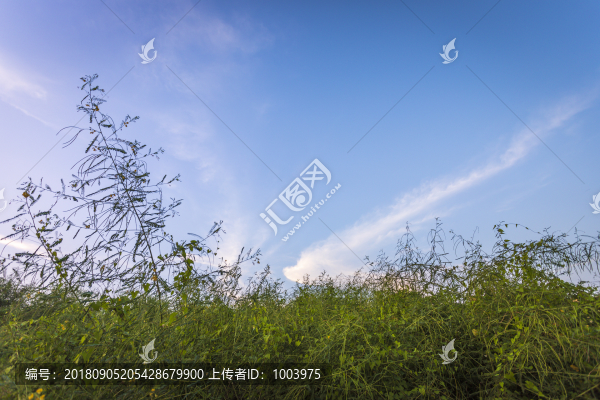 自然風(fēng)景天空云彩