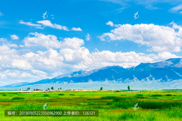 高家湖風(fēng)光