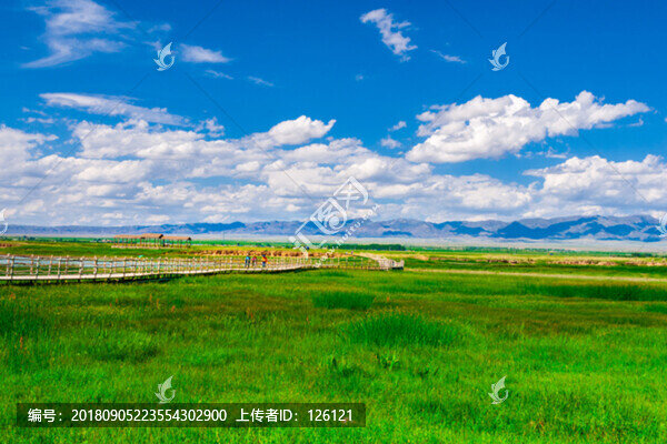 高家湖風(fēng)光