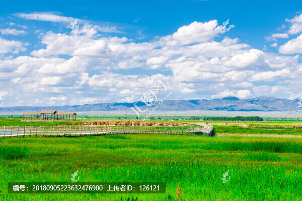 高家湖風(fēng)光