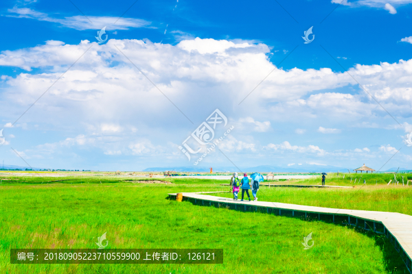 高家湖風光