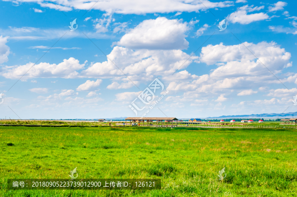 高家湖風光