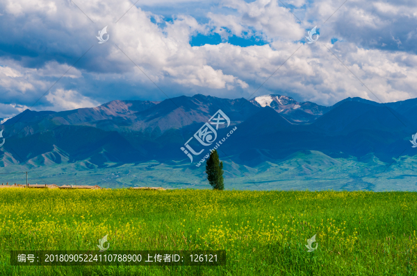 高家湖風(fēng)光