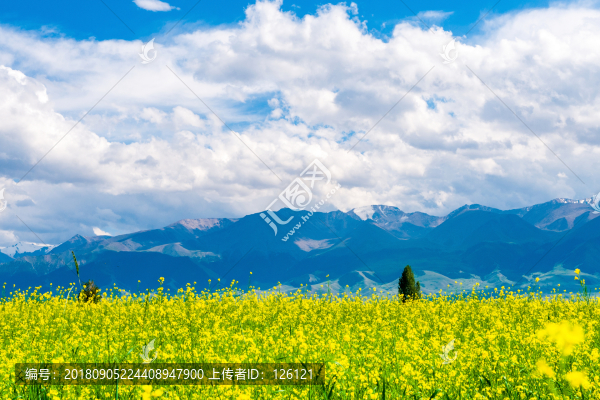 高家湖風(fēng)光