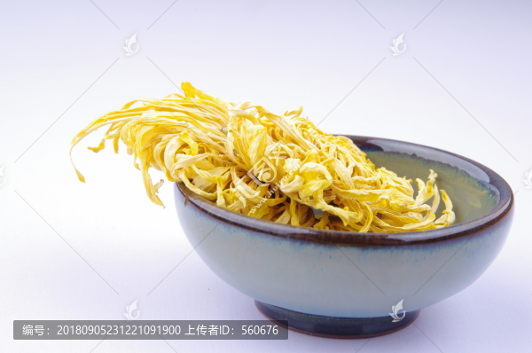 金絲皇菊