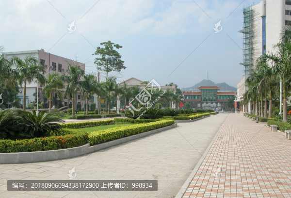 綠化