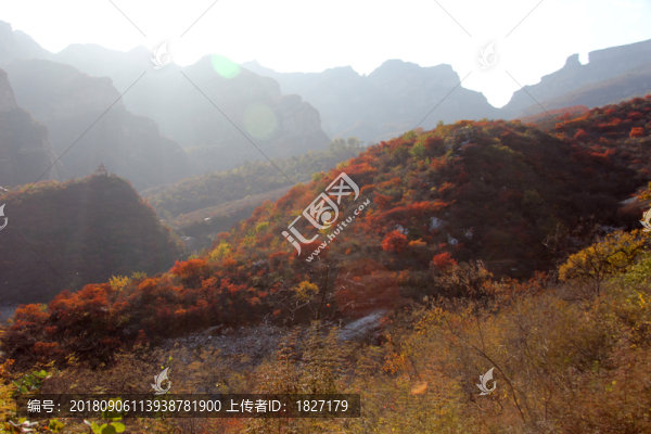 坡峰嶺
