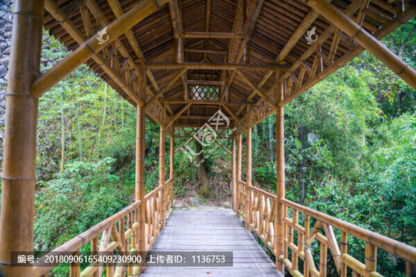 竹廊橋