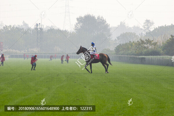賽馬