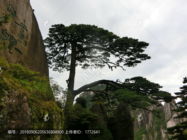 黃山