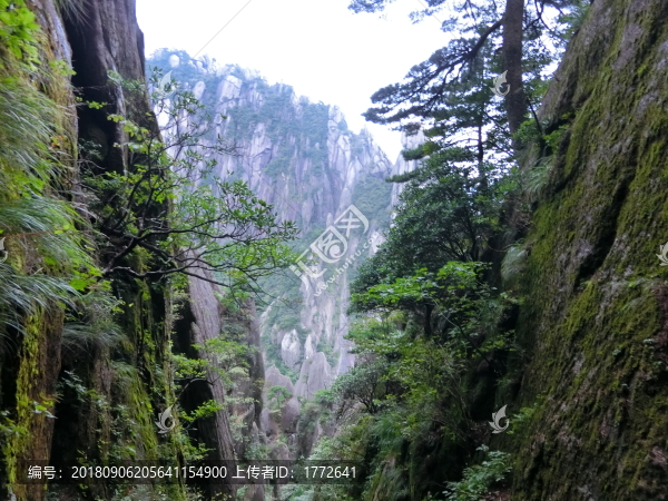 黃山