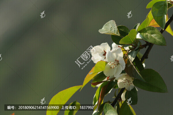 春暖花開(kāi)