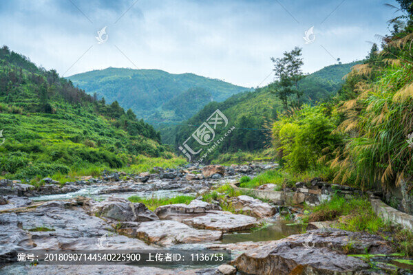 茂密青山