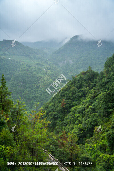 茂密青山