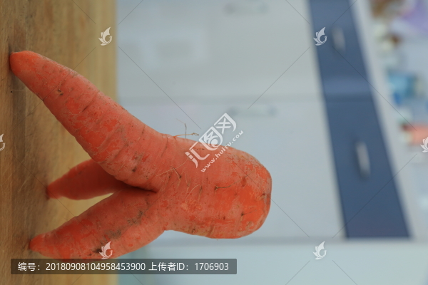 蔬菜蘿卜