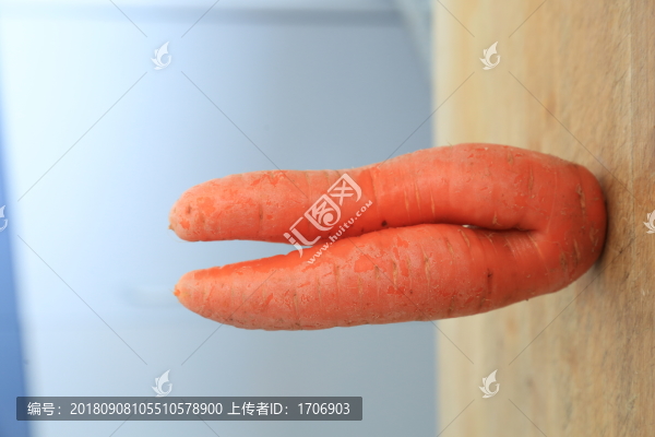 蔬菜蘿卜