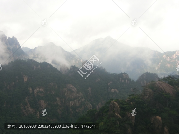 黃山山峰云霧松