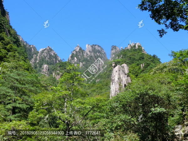 黃山