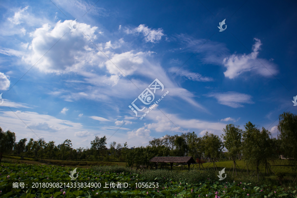 藍(lán)天白云