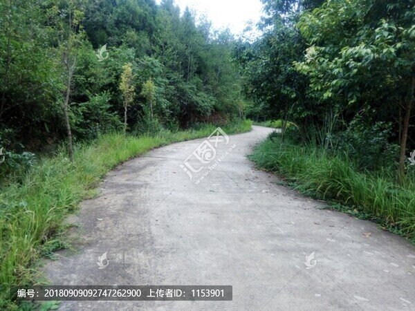 鄉(xiāng)村公路