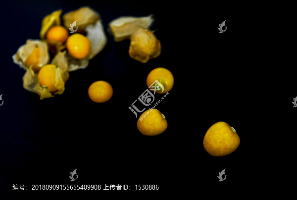 洋姑娘