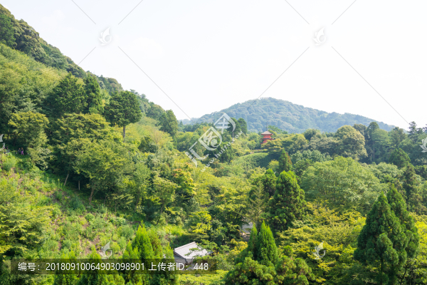 山中寺院