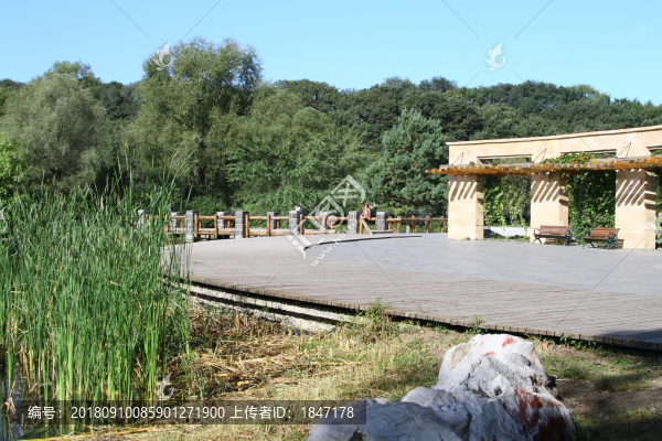 公園