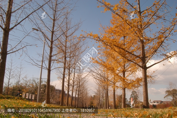 清華校園