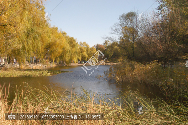 清華校園風光