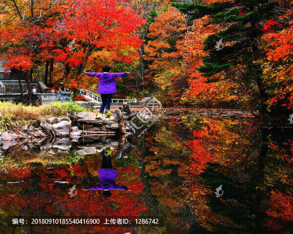 紅葉