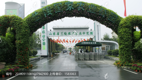 綠植拱門