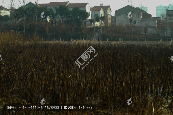 鐘祥莫愁湖