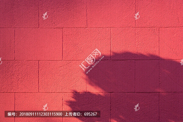 紅墻光影
