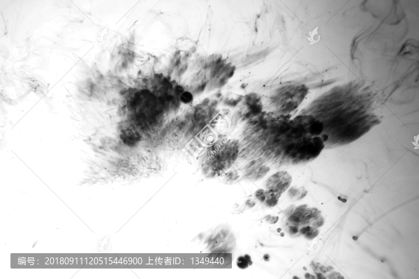水墨花開