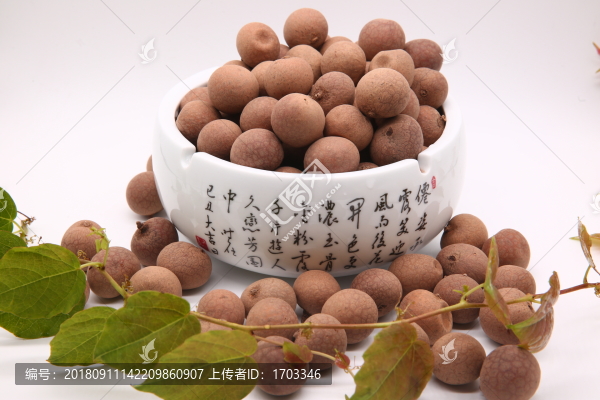 泰國桂圓干