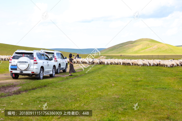 草原越野車隊(duì)