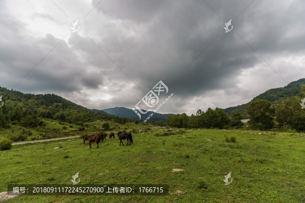 云頂山光影