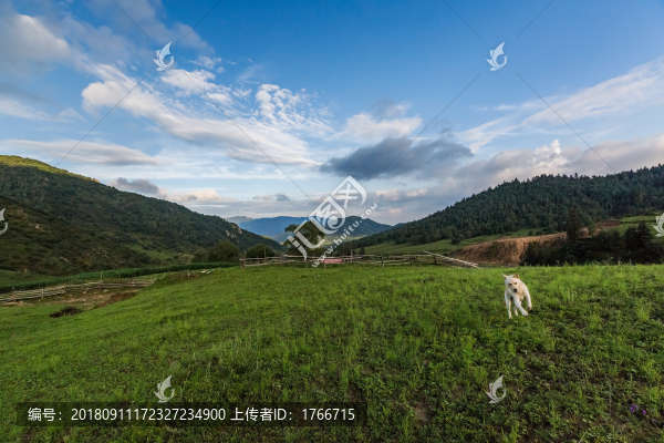 云頂山腳下隨手拍