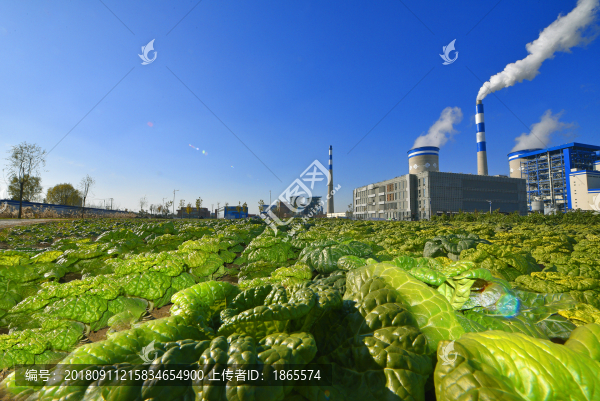 華美電廠