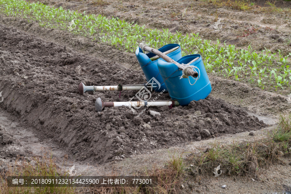 灑水桶