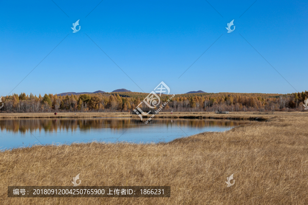 壩上七星湖景色