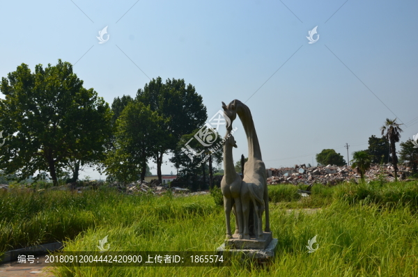 權(quán)臺(tái)煤礦